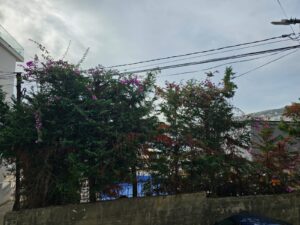 Apartament z pięknym tarasem 2+2    106m2  Nr.Ref.RW056