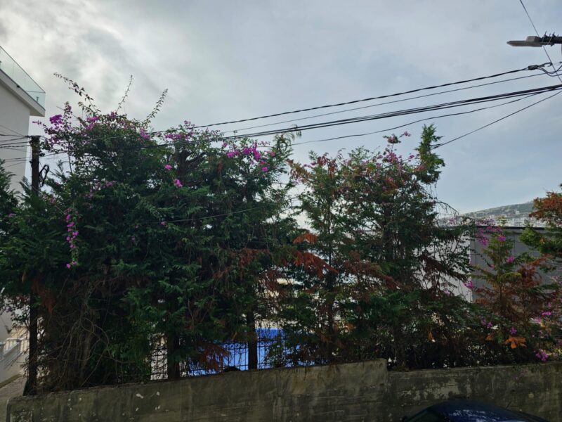 Apartament z pięknym tarasem 2+2    106m2  Nr.Ref.RW056