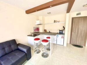 Apartament 1+1 pow.62m2     BRW-4 RAVDA