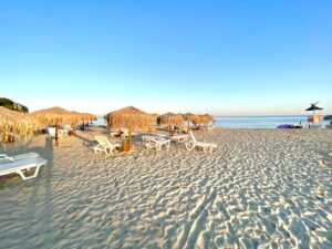 Apartament 1+1 65m2   BRW-2 Etera1