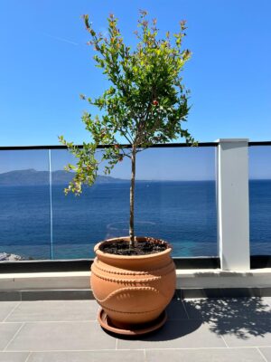 Penthouse na sprzedaż Saranda 220 m² | ogromny taras | widok na morze | luksusowe wykończenie Nr.Ref:RW133